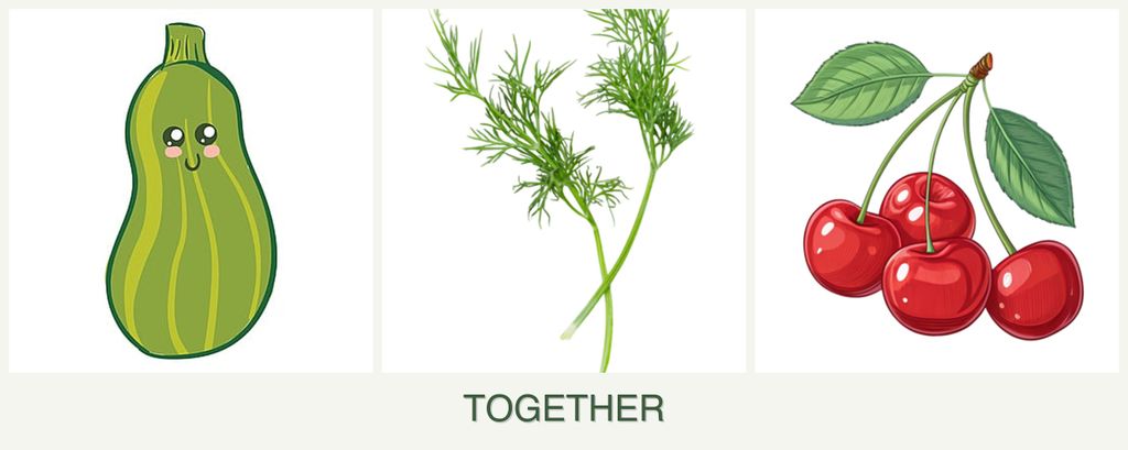 Can you plant zucchini, dill and cherries together?