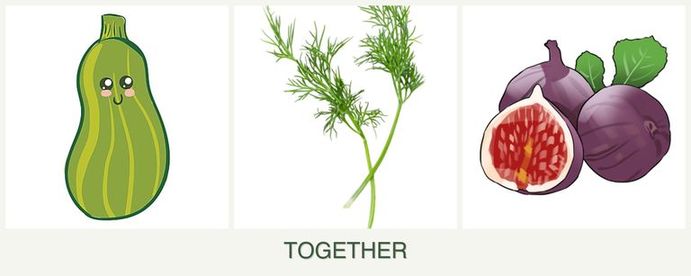 Can you plant zucchini, dill and figs together?
