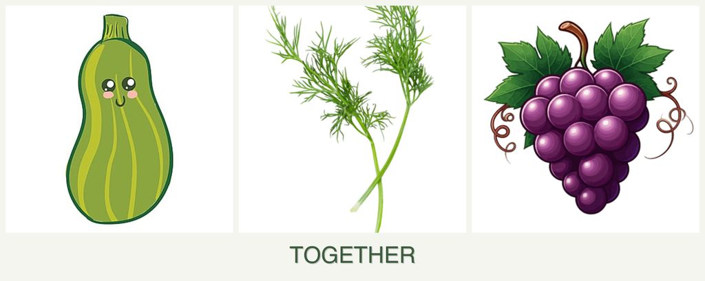 Can you plant zucchini, dill and grapes together?