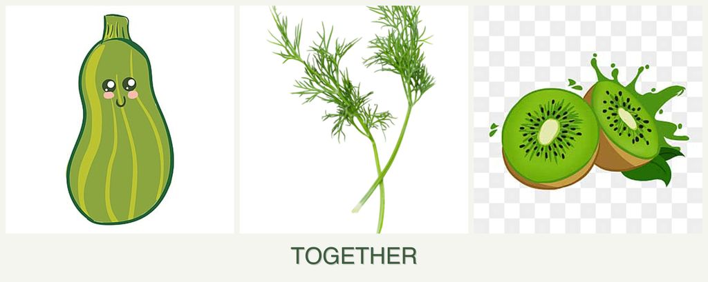 Can you plant zucchini, dill and kiwi together?