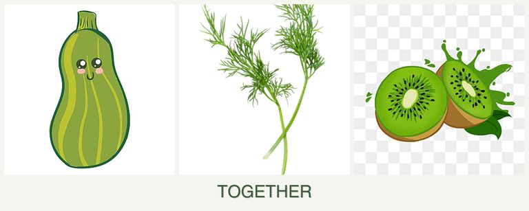 Can you plant zucchini, dill and kiwi together?