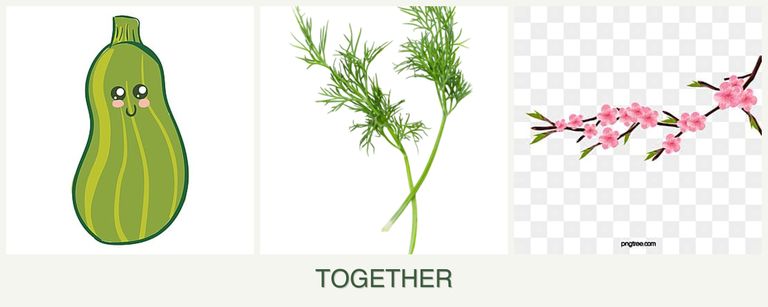 Can you plant zucchini, dill and peaches together?