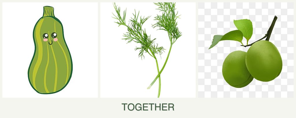 Can you plant zucchini, dill and plums together?