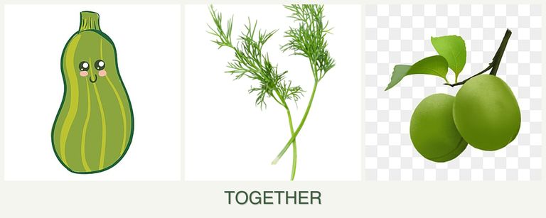 Can you plant zucchini, dill and plums together?