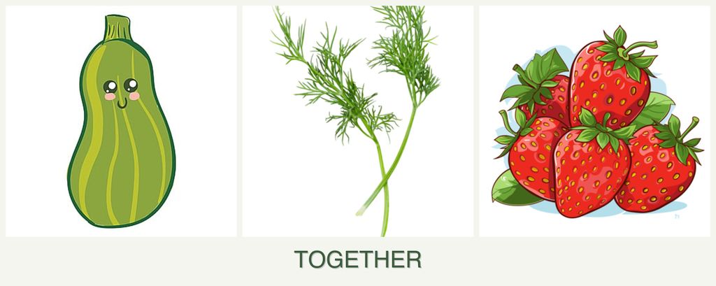 Can you plant zucchini, dill and strawberries together?