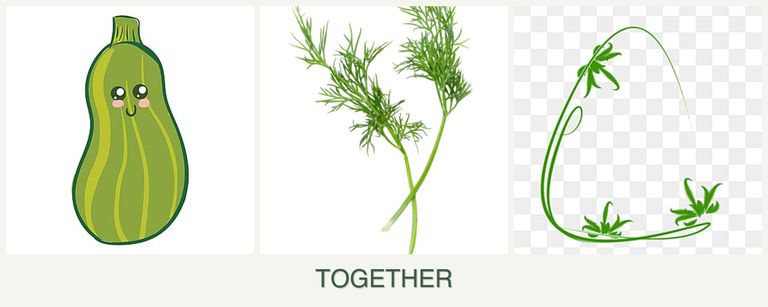 Can you plant zucchini, dill and tarragon together?