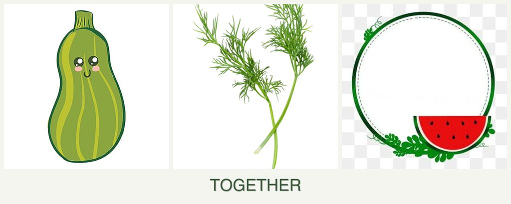 Can you plant zucchini, dill and watermelons together?