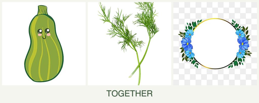 Can you plant zucchini, dill and zinnias together?