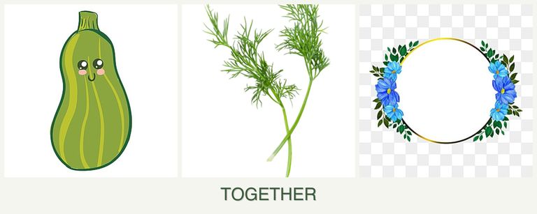 Can you plant zucchini, dill and zinnias together?