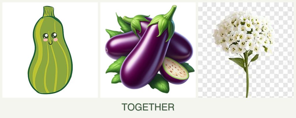 Can you plant zucchini, eggplant and alyssum together?