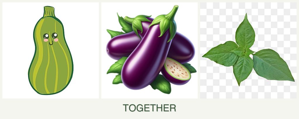 Can you plant zucchini, eggplant and basil together?