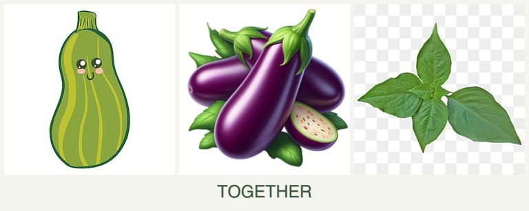 Can you plant zucchini, eggplant and basil together?