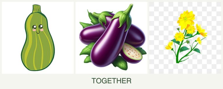Can you plant zucchini, eggplant and calendula together?