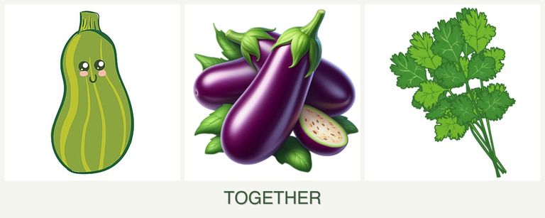 Can you plant zucchini, eggplant and cilantro together?