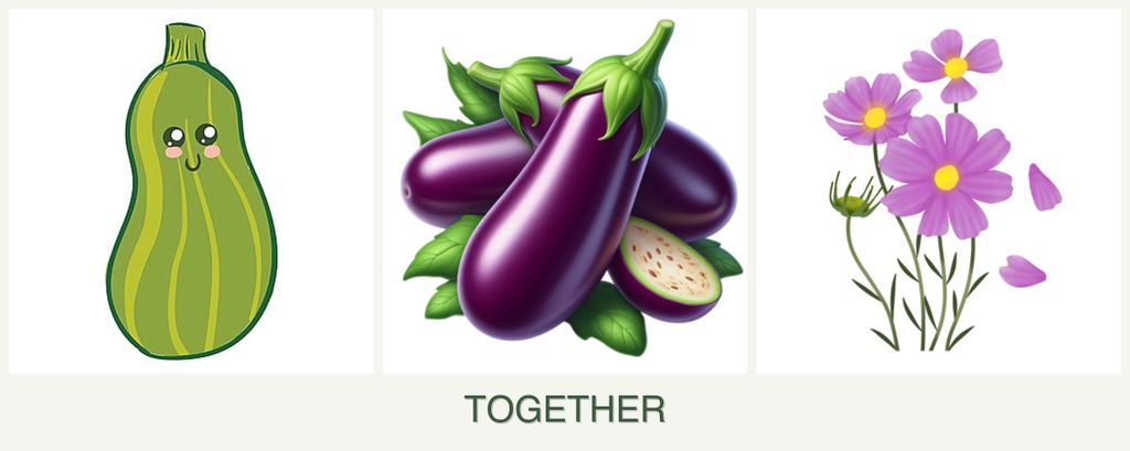 Can you plant zucchini, eggplant and cosmos together?