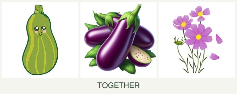 Can you plant zucchini, eggplant and cosmos together?