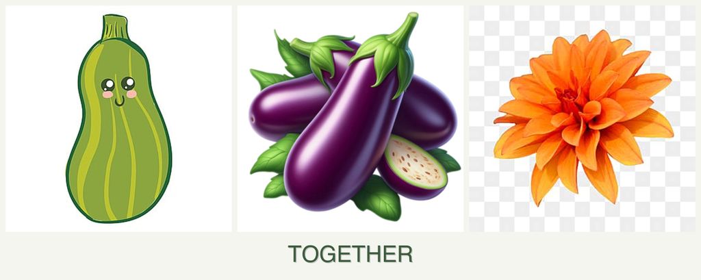 Can you plant zucchini, eggplant and dahlias together?