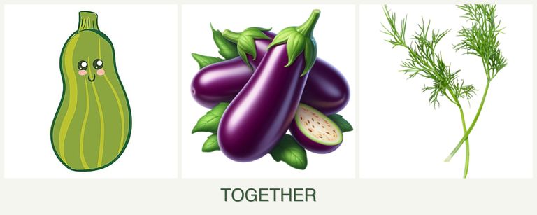 Can you plant zucchini, eggplant and dill together?