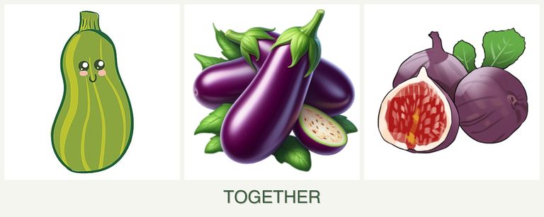 Can you plant zucchini, eggplant and figs together?