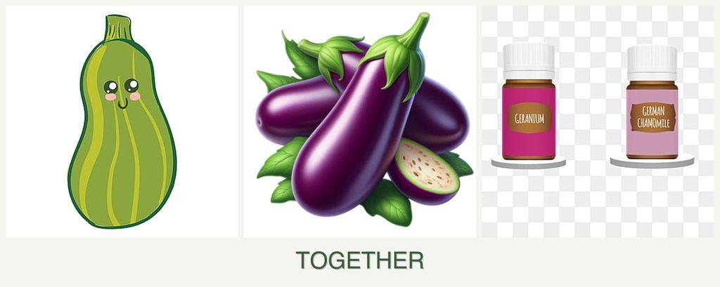 Can you plant zucchini, eggplant and geraniums together?