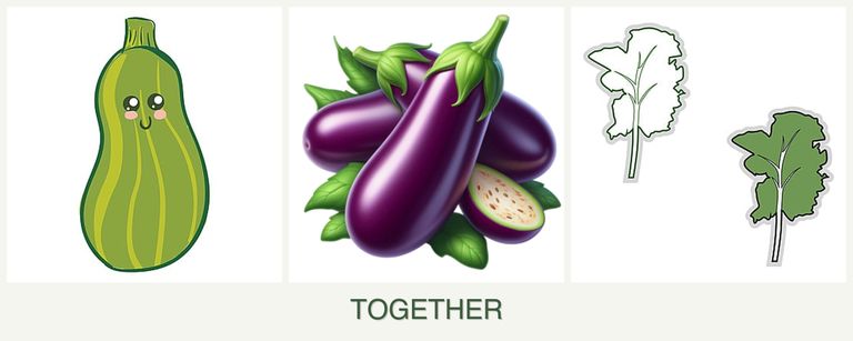 Can you plant zucchini, eggplant and kale together?