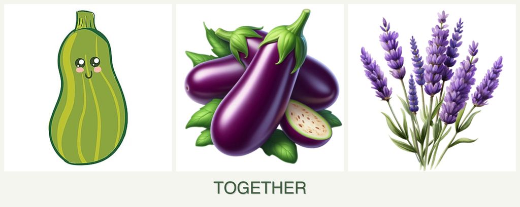 Can you plant zucchini, eggplant and lavender together?
