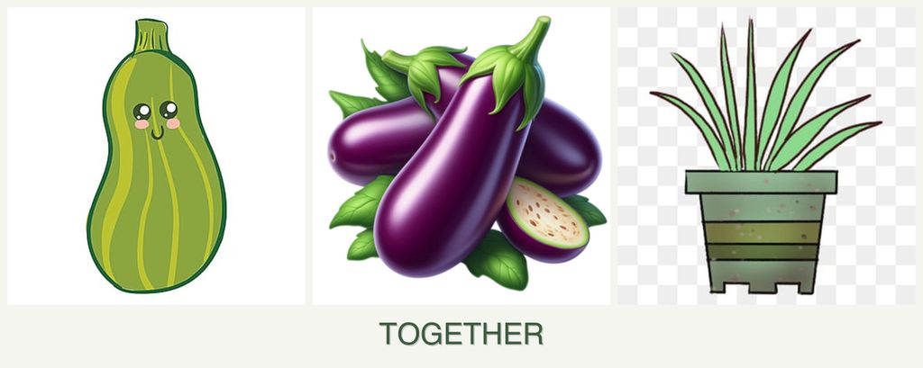Can you plant zucchini, eggplant and lemongrass together?