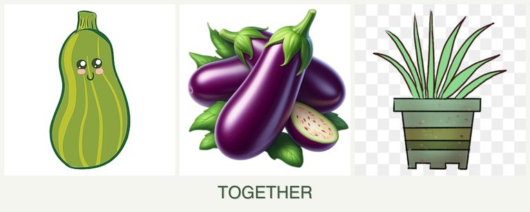 Can you plant zucchini, eggplant and lemongrass together?