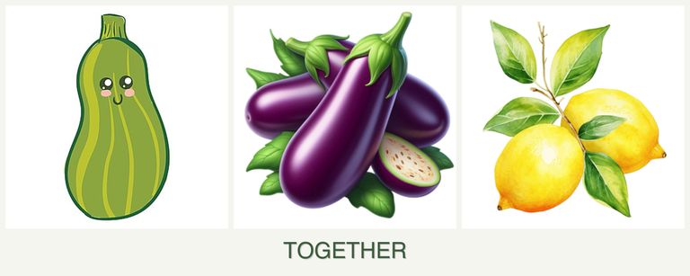 Can you plant zucchini, eggplant and lemons together?