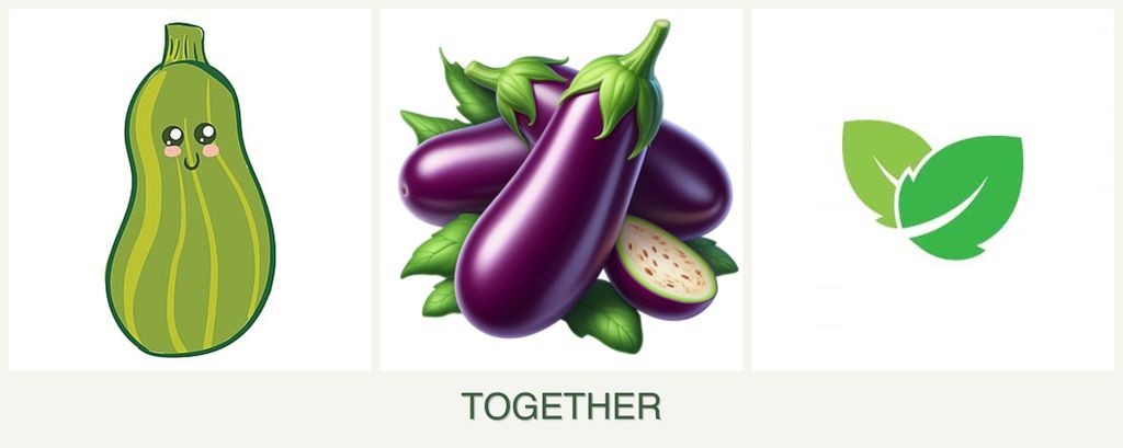 Can you plant zucchini, eggplant and mint together?