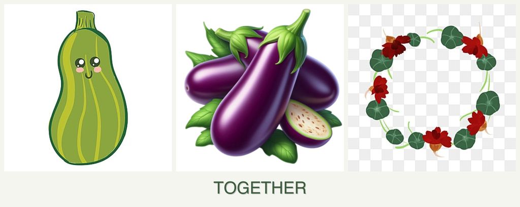 Can you plant zucchini, eggplant and nasturtiums together?