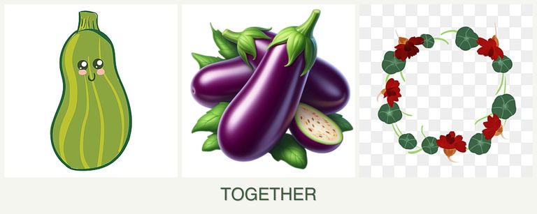 Can you plant zucchini, eggplant and nasturtiums together?