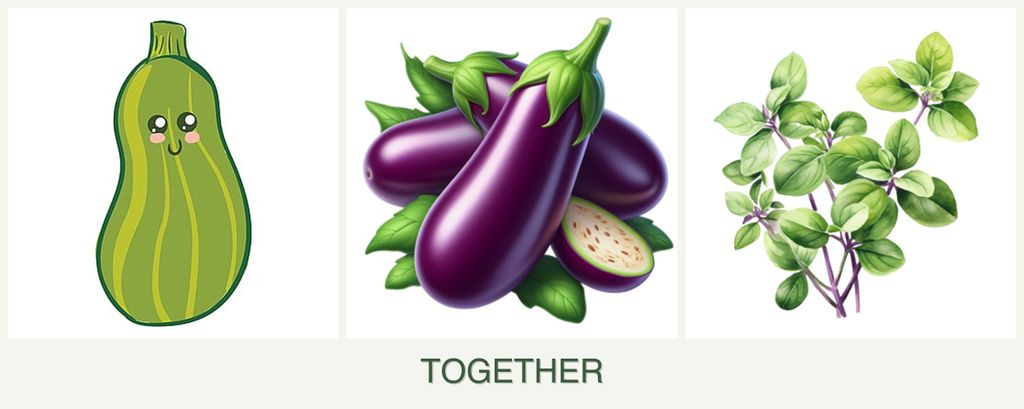 Can you plant zucchini, eggplant and oregano together?