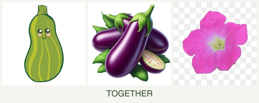 Can you plant zucchini, eggplant and petunias together?