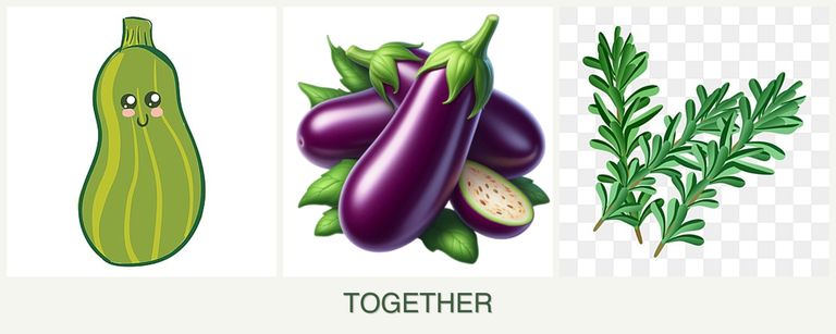 Can you plant zucchini, eggplant and rosemary together?
