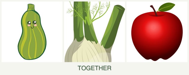 Can you plant zucchini, fennel and apples together?