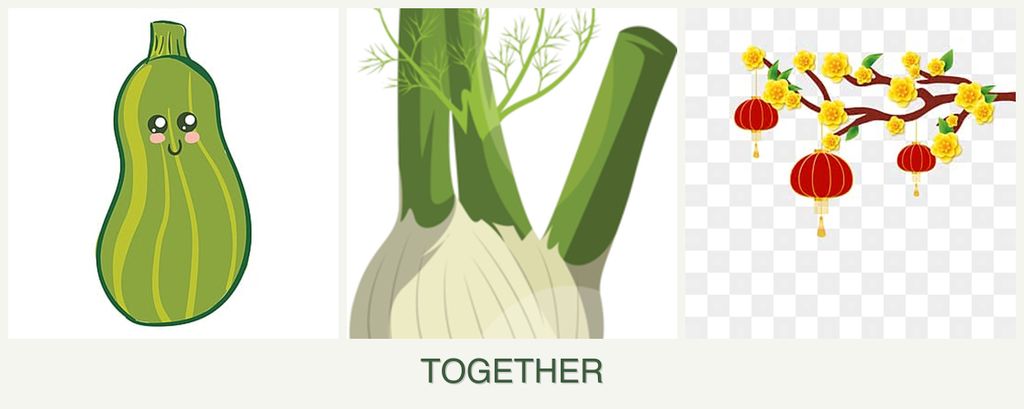 Can you plant zucchini, fennel and apricots together?
