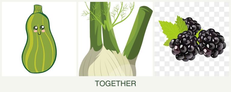 Can you plant zucchini, fennel and blackberries together?