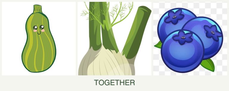 Can you plant zucchini, fennel and blueberries together?