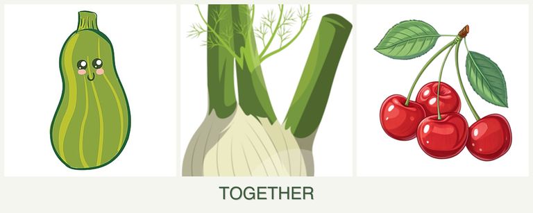 Can you plant zucchini, fennel and cherries together?
