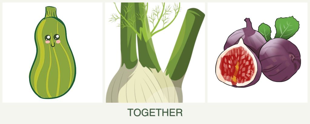 Can you plant zucchini, fennel and figs together?