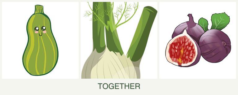 Can you plant zucchini, fennel and figs together?