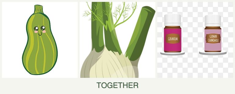 Can you plant zucchini, fennel and geraniums together?