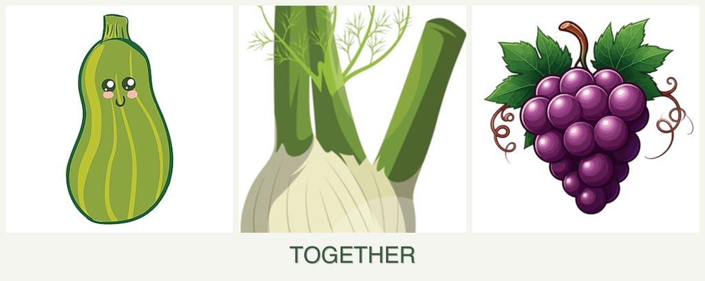 Can you plant zucchini, fennel and grapes together?