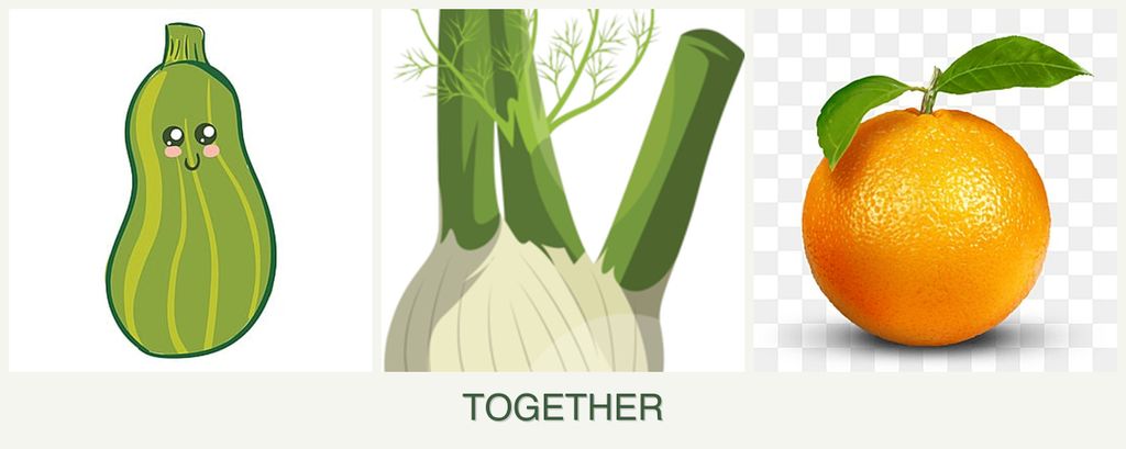 Can you plant zucchini, fennel and oranges together?