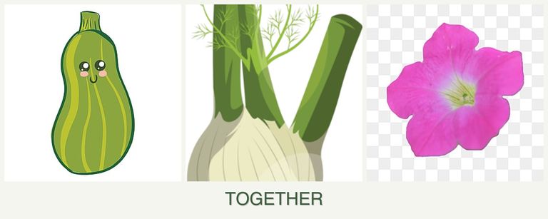 Can you plant zucchini, fennel and petunias together?