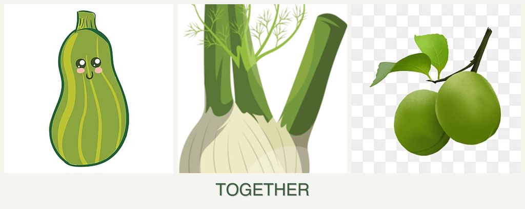 Can you plant zucchini, fennel and plums together?