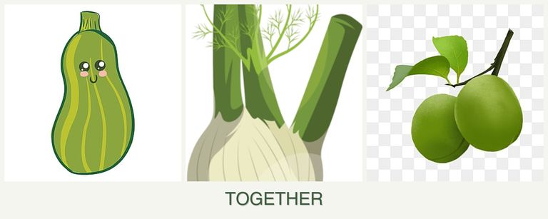 Can you plant zucchini, fennel and plums together?