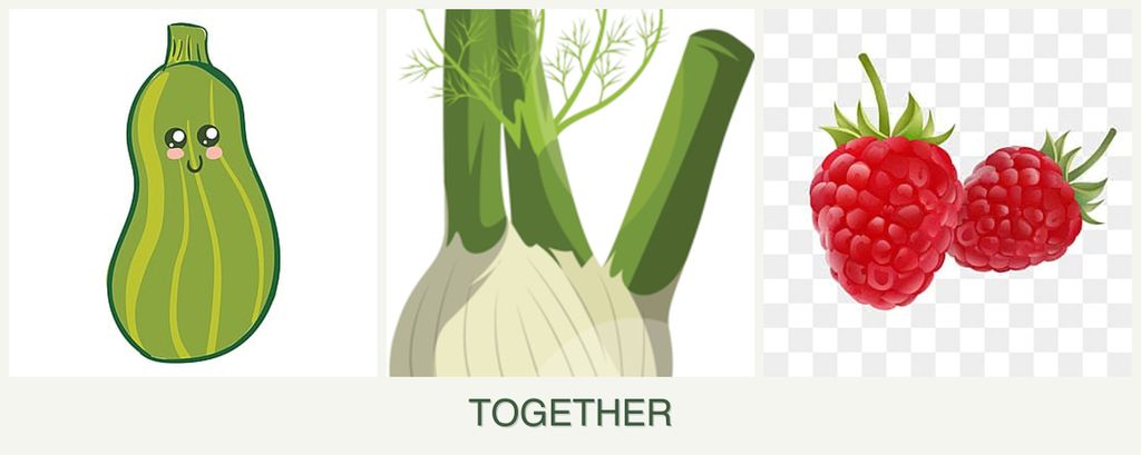 Can you plant zucchini, fennel and raspberries together?