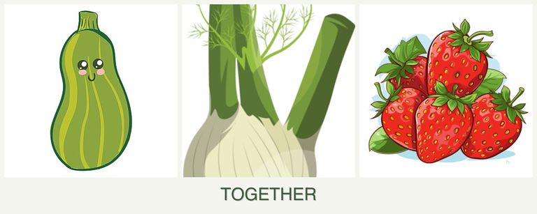 Can you plant zucchini, fennel and strawberries together?